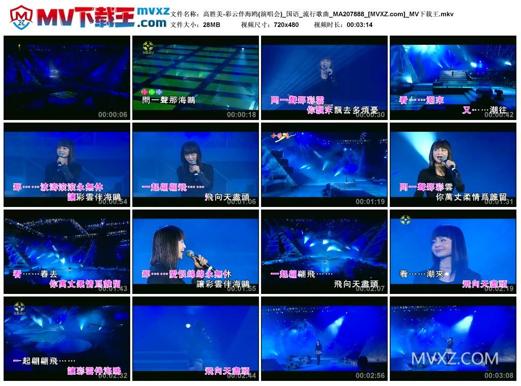 高胜美-彩云伴海鸥(演唱会)_国语_流行歌曲_MA207888